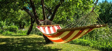 Just Hanging Out: How to Safely Hang a Hammock - Premier Tree Solutions