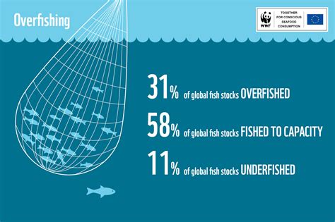 Overfishing – Aquascript