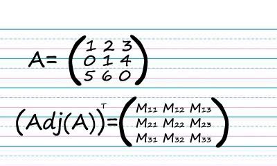 ADJOINT OF A 3X3 MATRIX PDF