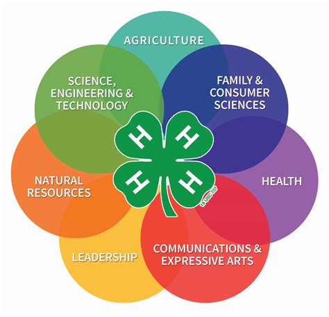 What Is 4-H? | N.C. Cooperative Extension