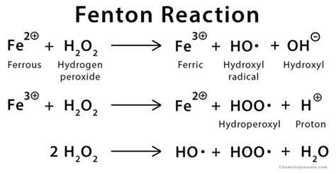 Fenton Reaction: Definition and Reagent