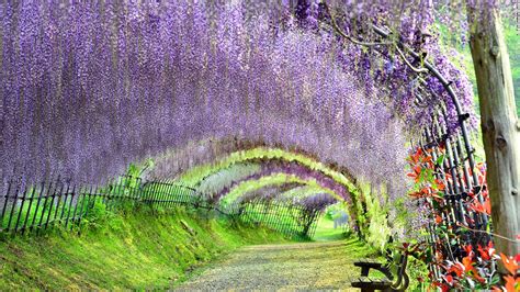 36 most beautiful places in Japan (photos) | CNN Travel