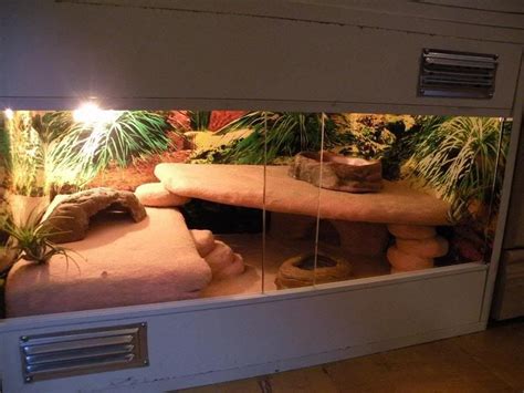 Best 25+ Leopard gecko habitat ideas on Pinterest | Gecko habitat ...