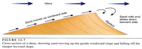 How to read sand dunes formation and texture? - Discussions - Carnity.com