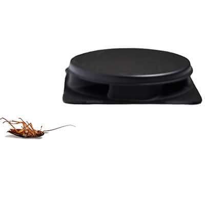 3 Roach Traps Worth Buying: Forget the Rest, These are the Best Because ...