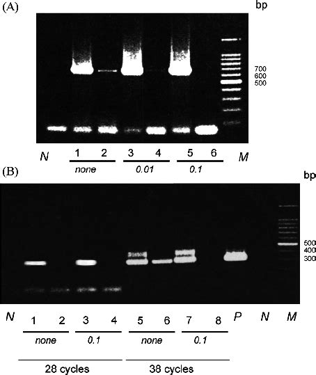 Effect of DNAse-free RNAse A treatment on the detection of specific ...