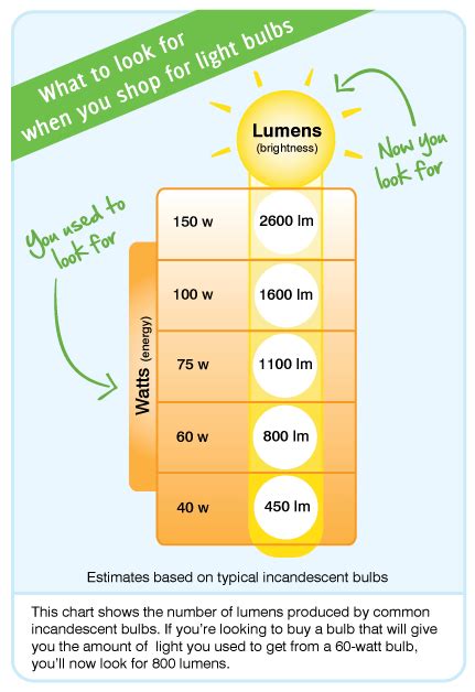 Lumens vs Watts: How to Choose the Right LED Replacement Bulb