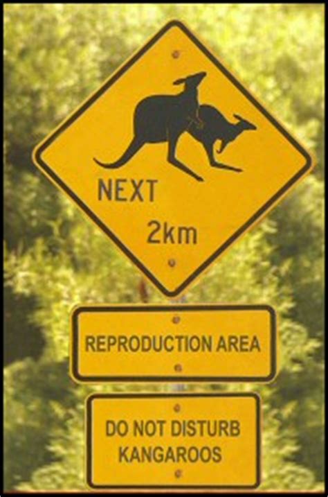 Pictures of Funny Animal Road Signs