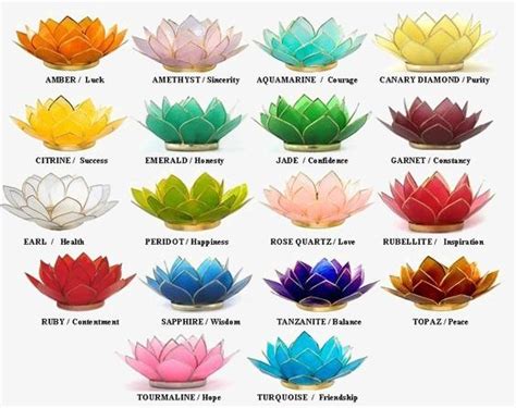 lotus flower logo meaning - Rickie Moya