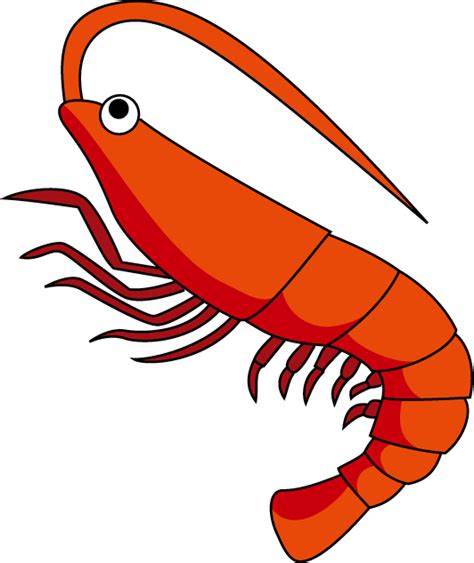 Shrimp Clipart Free | Free download on ClipArtMag