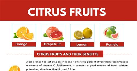 Citrus Fruits List with Interesting Benefits and Pictures • 7ESL