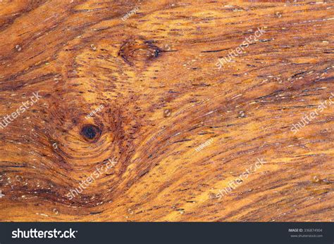 Pterocarpus Macrocarpus Wood Textures Stock Photo 336874904 | Shutterstock