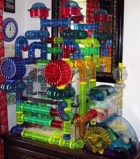 Best Hamster Cages of 2020 - Reviews and Where to Buy