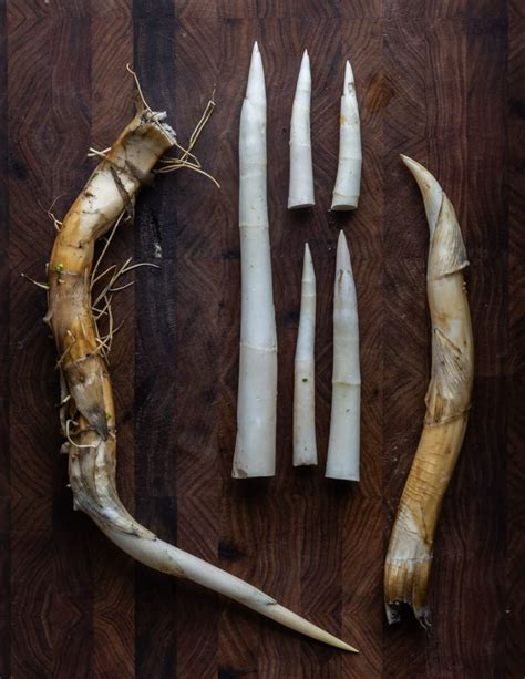 Cattail Rhizome Salad with Smoked Trout and Chickweed