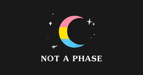 Not A Phase Pansexual Lgbtqia Pan Pride Flag Moon Zip - Awesome - Kids ...