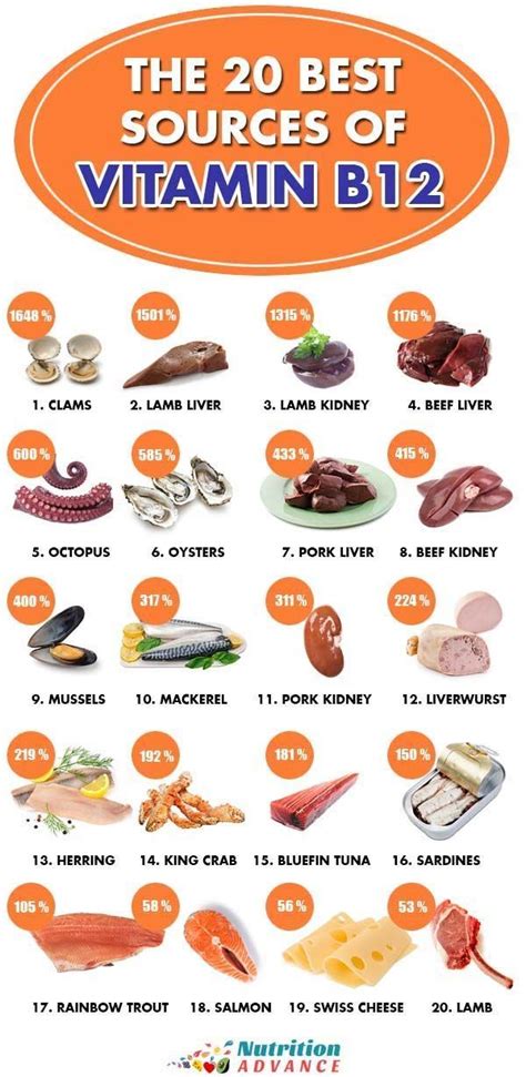 Top 20 Best Sources of Vitamin B12