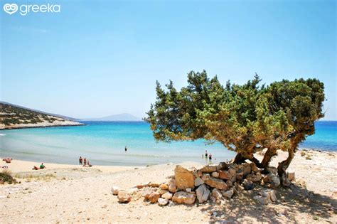 Best 20+ Beaches in Naxos, Greece | Greeka