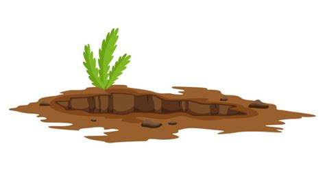 Soil Erosion Prevention Clipart