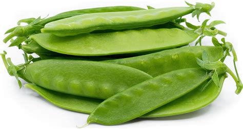 Snow Peas Information, Recipes and Facts