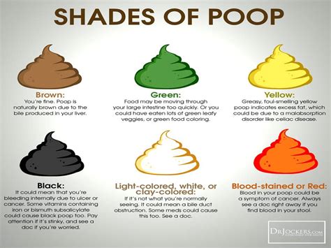 What Does The Color Of Your Poop Mean | Images and Photos finder