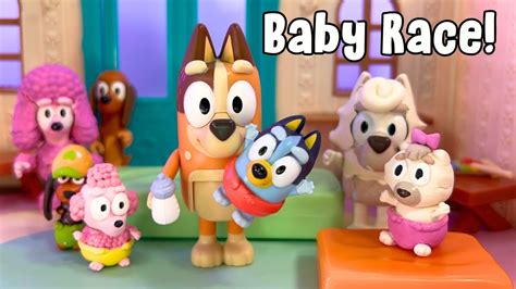 Bluey Baby Race Episode | Baby Bluey Toy Pretend Play | Bluey Baby Race ...