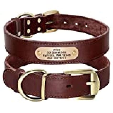 Didog Genuine Leather Dog Collars with Engraved Nameplate, Personalized ...