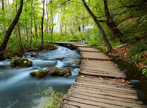 Boardwalk in the park Stock Photo by ©silverjohn 13846233