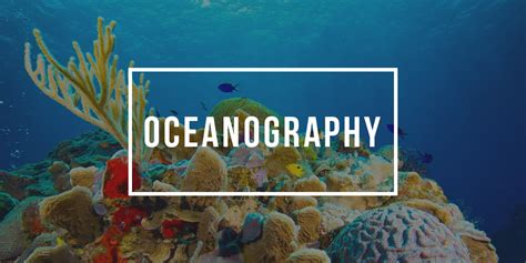 Major in Oceanography| Oceanography Degree Programs| Plexuss