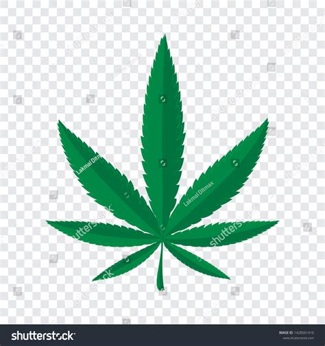 Marijuana Leafcannabis Leaf On Transparent Background Stock Vector ...