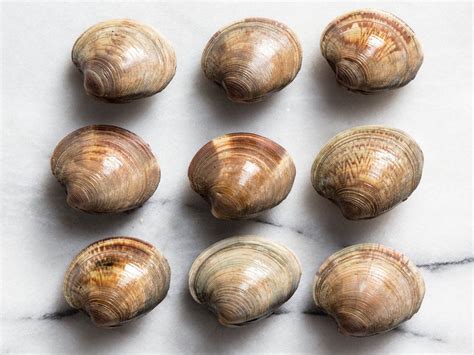 A Guide to Clam Types and What to Do With Them | Clams casino, Clams ...