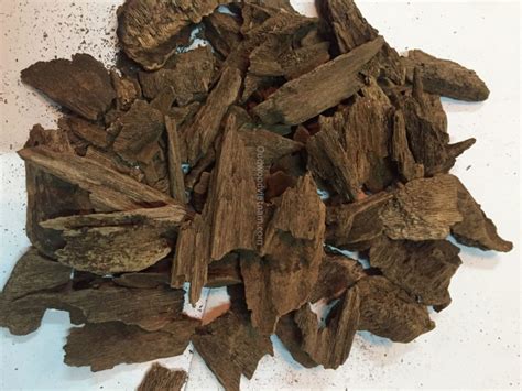 Oud wood or Agarwood - What is it? - OUD AGARWOOD VIETNAM