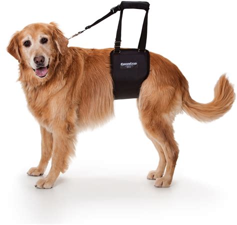 GingerLead Dog Support Sling Harnesses | Mobility Aid for Old or ...