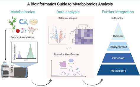 Metabolites | Free Full-Text | Guide to Metabolomics Analysis: A ...