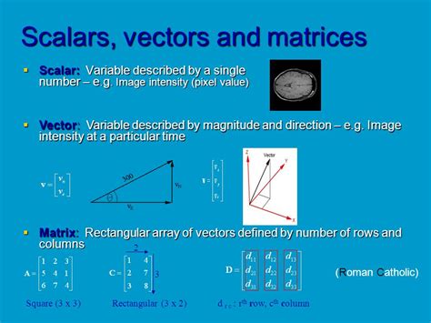 Vector And Matrices at Vectorified.com | Collection of Vector And ...