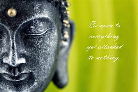 Top 51 Beautiful Buddha Quotes