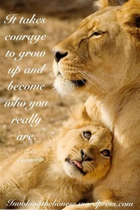 Lion Protecting Lioness Quotes - revolvediy