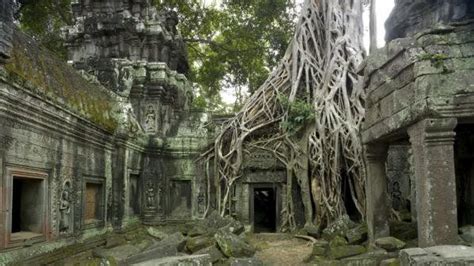 The real Forest Temple | Abandoned places, Beautiful places, Places