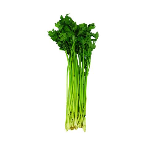 Malaysia Celery Daun Soup 170-200g – Shopifull