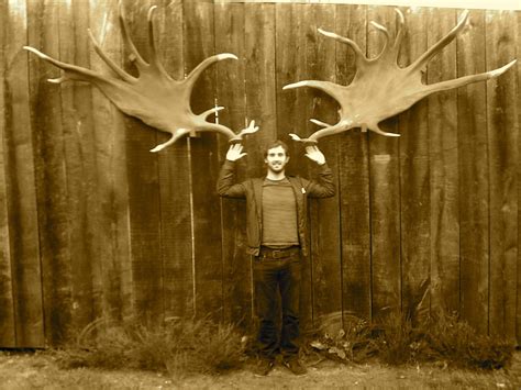 Irish Elk | Irish elk, Deer photos, Big deer