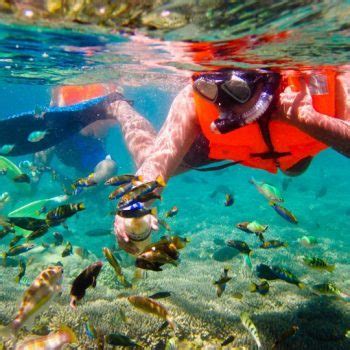 Blue Lagoon Snorkeling is the latest experience watersport packages