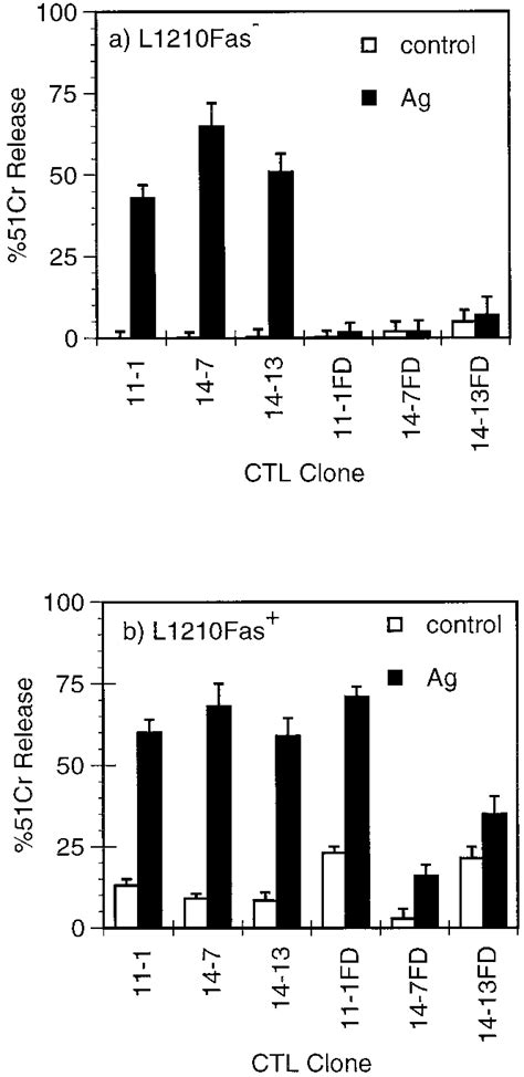 Specificity and cytolytic activity of CTL and CTL-FD clones. CTL clones ...