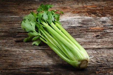 8 Vegetables that Cause Allergies - Step To Health