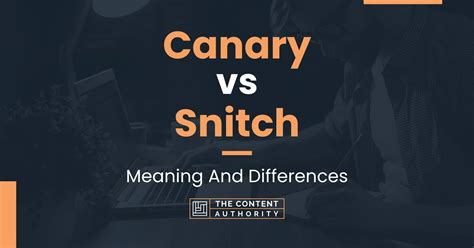 Canary vs Snitch: Meaning And Differences