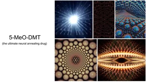 5-MeO-DMT vs. N,N-DMT: The 9 Lenses