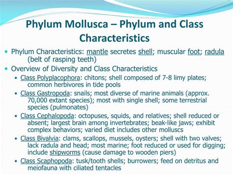 PPT - Phylum Mollusca – Phylum and Class Characteristics PowerPoint ...