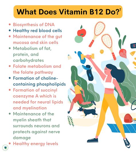 The Ultimate Guide to Vitamin B12: Forms, Benefits, Supplements, & Mor ...