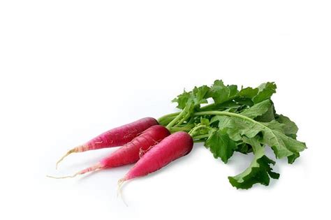 Exquisite China Rose Radish Heirloom Seeds at Todd's Seeds – A Taste of ...