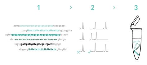 Microsatellite development service | AllGenetics