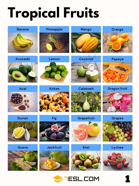 Tropical Fruits List in English • 7ESL