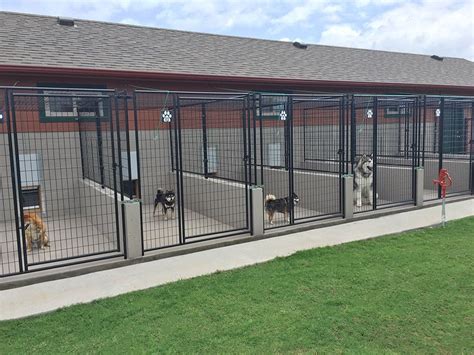 ATTABOY Boarding Kennels Facility #DogKennel Dog Boarding Facility ...